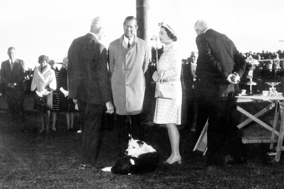 Queen Elizabeth presenting 1970 National Sheep Dog Champion