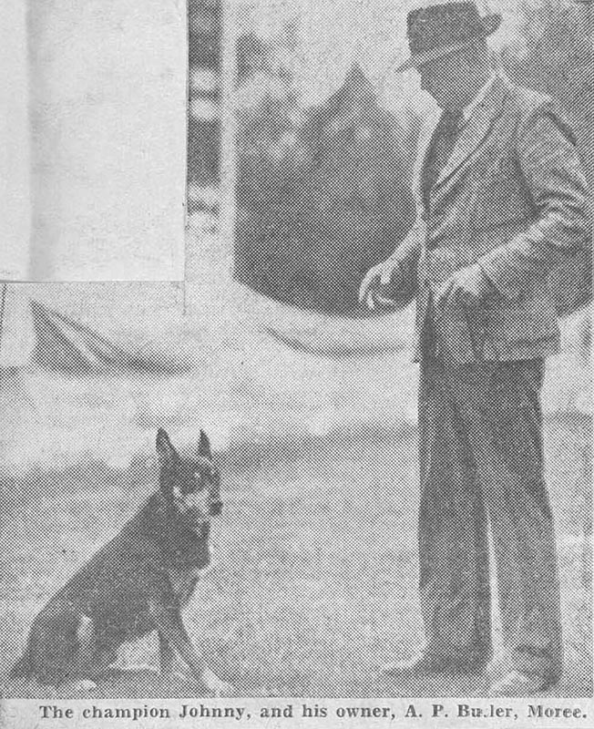 Johnny the Kelpie with his owner Athol Butler