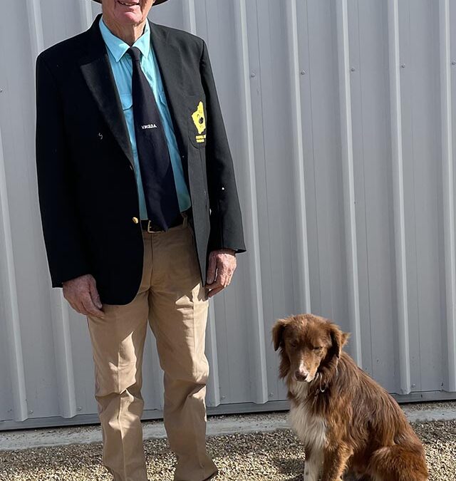 Triumph at the National Sheepdog Trial Championships: Dave Lacey and Brandshatch Tusker